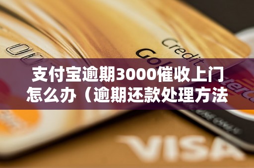 支付宝逾期3000催收上门怎么办（逾期还款处理方法）