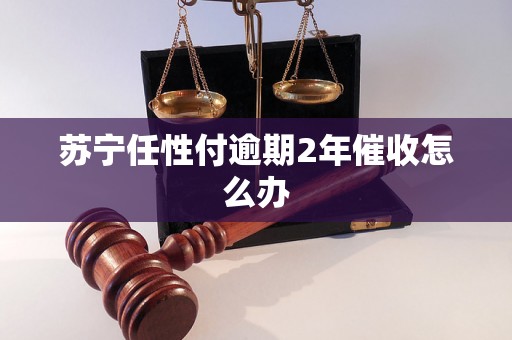 苏宁任性付逾期2年催收怎么办