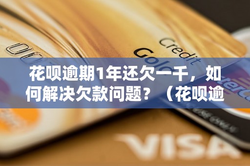 花呗逾期1年还欠一千，如何解决欠款问题？（花呗逾期还款攻略）