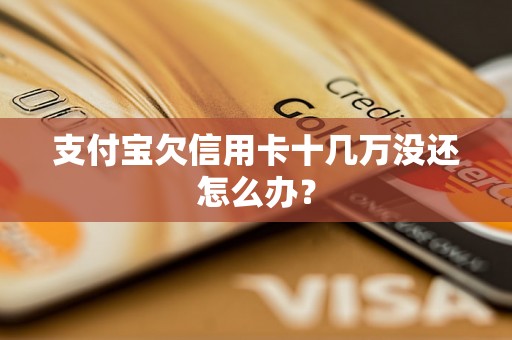 支付宝欠信用卡十几万没还怎么办？