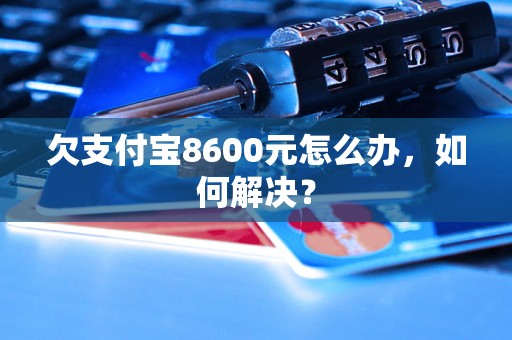 欠支付宝8600元怎么办，如何解决？