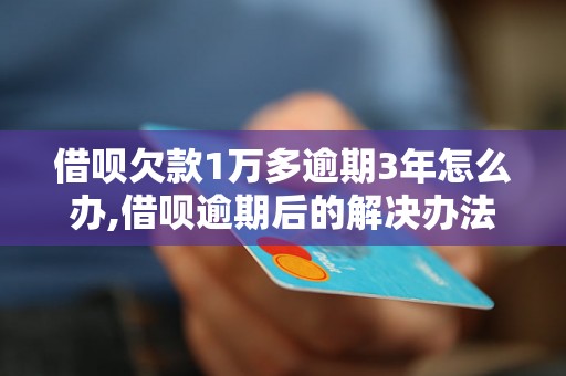 借呗欠款1万多逾期3年怎么办,借呗逾期后的解决办法