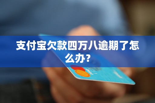 支付宝欠款四万八逾期了怎么办？