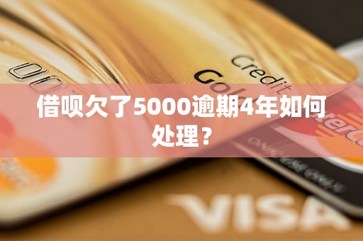 借呗欠了5000逾期4年如何处理？