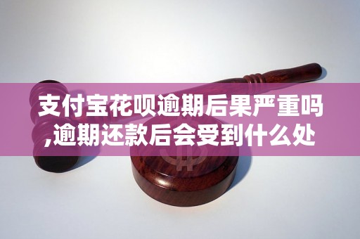 支付宝花呗逾期后果严重吗,逾期还款后会受到什么处罚