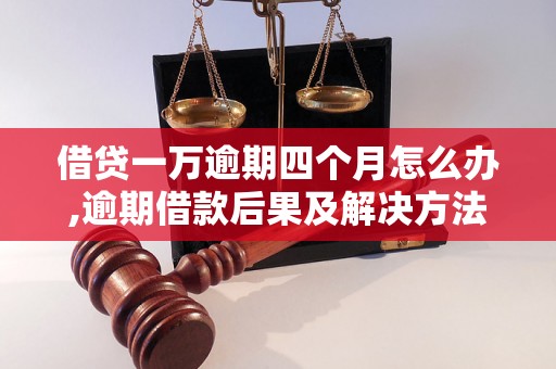 借贷一万逾期四个月怎么办,逾期借款后果及解决方法