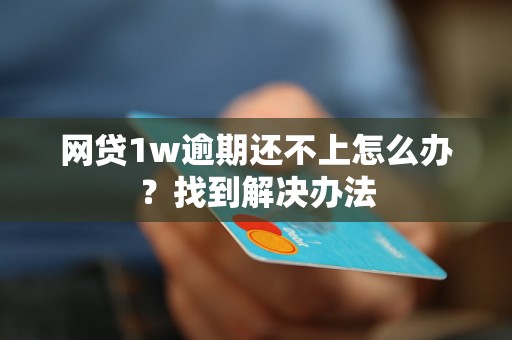 网贷1w逾期还不上怎么办？找到解决办法