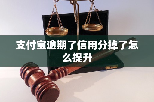 支付宝逾期了信用分掉了怎么提升