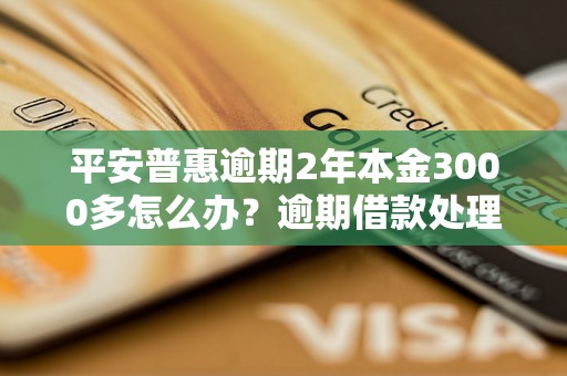 平安普惠逾期2年本金3000多怎么办？逾期借款处理方法详解