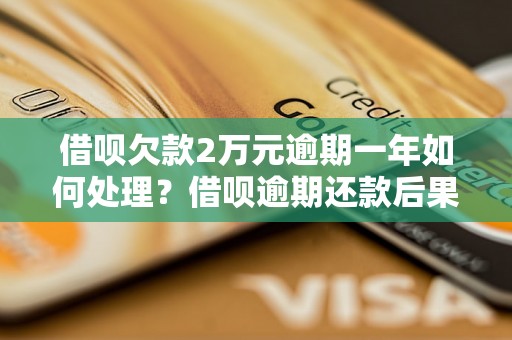 借呗欠款2万元逾期一年如何处理？借呗逾期还款后果严重吗？