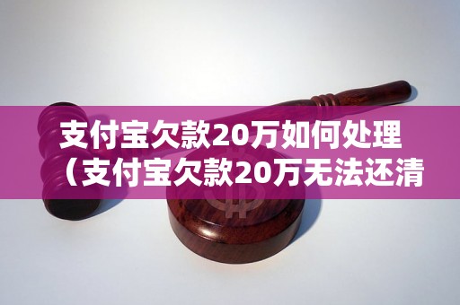 支付宝欠款20万如何处理（支付宝欠款20万无法还清怎么办）