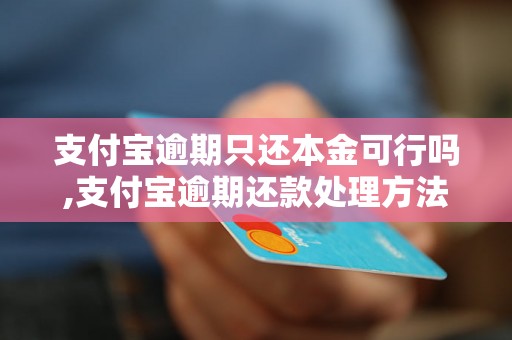 支付宝逾期只还本金可行吗,支付宝逾期还款处理方法