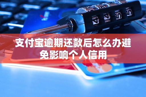 支付宝逾期还款后怎么办避免影响个人信用