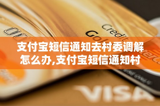 支付宝短信通知去村委调解怎么办,支付宝短信通知村委调解流程解析