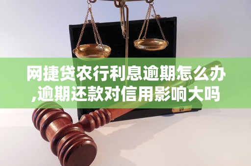 网捷贷农行利息逾期怎么办,逾期还款对信用影响大吗