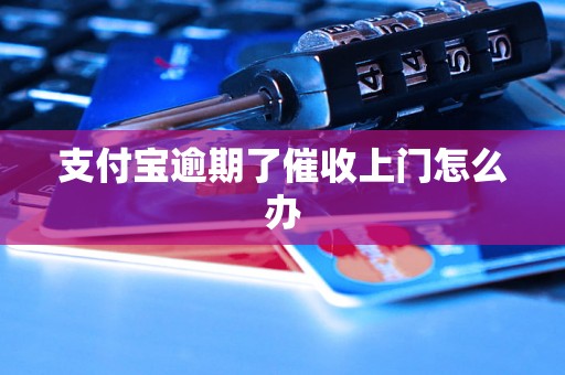 支付宝逾期了催收上门怎么办