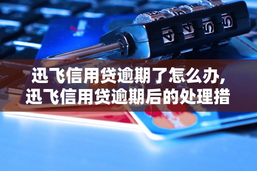 迅飞信用贷逾期了怎么办,迅飞信用贷逾期后的处理措施