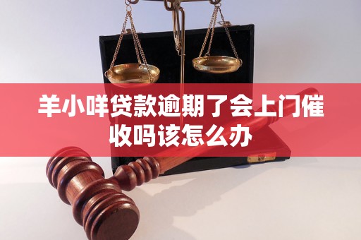 羊小咩贷款逾期了会上门催收吗该怎么办