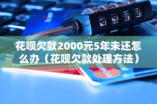 花呗欠款2000元5年未还怎么办（花呗欠款处理方法）