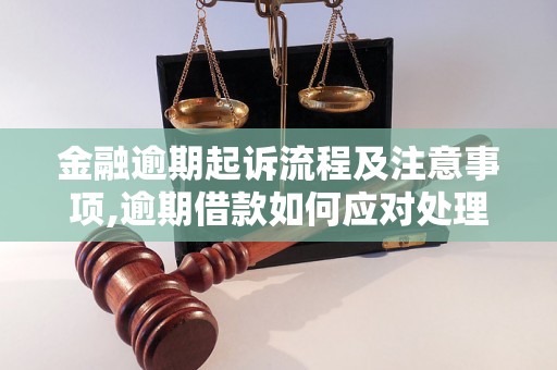 金融逾期起诉流程及注意事项,逾期借款如何应对处理