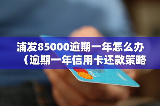 浦发85000逾期一年怎么办（逾期一年信用卡还款策略分享）