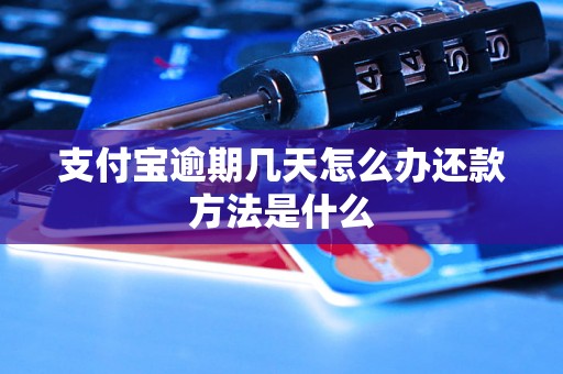 支付宝逾期几天怎么办还款方法是什么