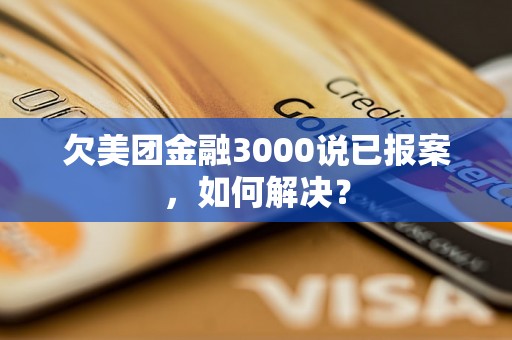 欠美团金融3000说已报案，如何解决？