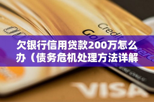 欠银行信用贷款200万怎么办（债务危机处理方法详解）