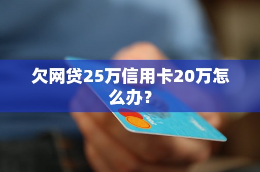 欠网贷25万信用卡20万怎么办？