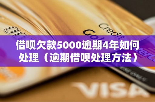 借呗欠款5000逾期4年如何处理（逾期借呗处理方法）