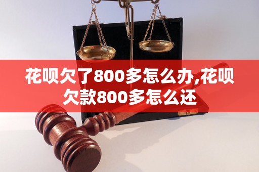 花呗欠了800多怎么办,花呗欠款800多怎么还