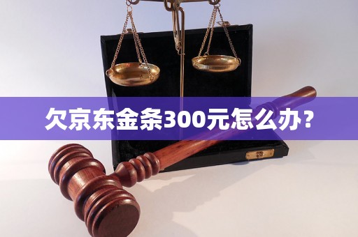 欠京东金条300元怎么办？