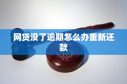 网贷没了逾期怎么办重新还款