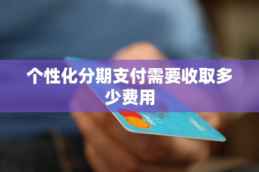 个性化分期支付需要收取多少费用