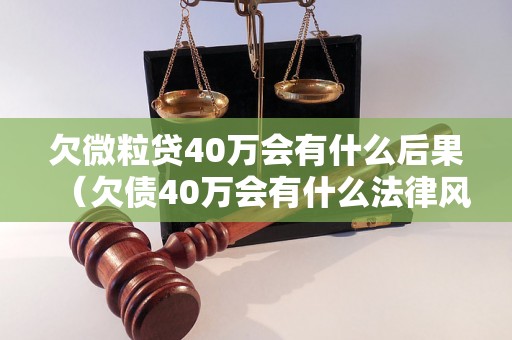 欠微粒贷40万会有什么后果（欠债40万会有什么法律风险）