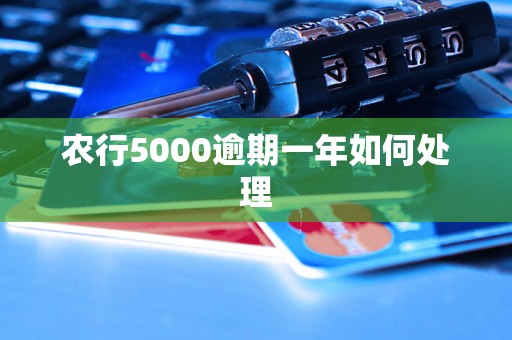 农行5000逾期一年如何处理