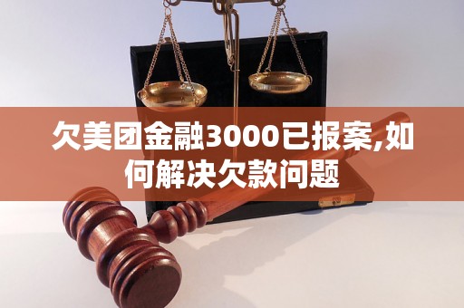 欠美团金融3000已报案,如何解决欠款问题