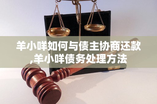 羊小咩如何与债主协商还款,羊小咩债务处理方法