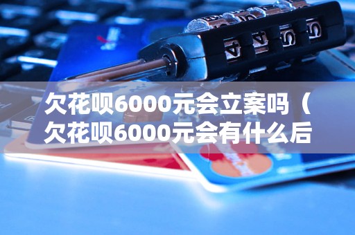 欠花呗6000元会立案吗（欠花呗6000元会有什么后果）