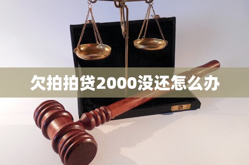 欠拍拍贷2000没还怎么办