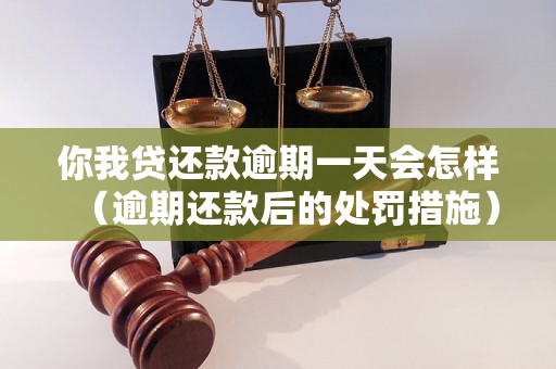 你我贷还款逾期一天会怎样（逾期还款后的处罚措施）