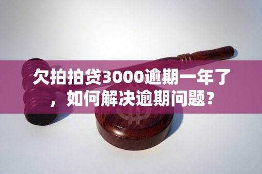 欠拍拍贷3000逾期一年了，如何解决逾期问题？