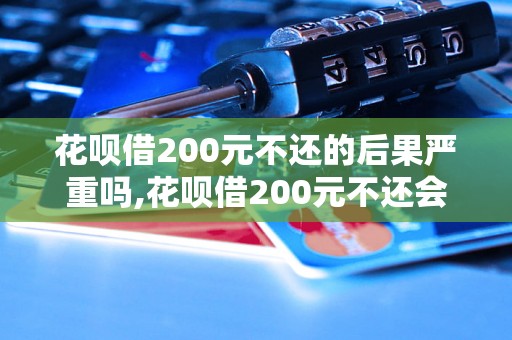 花呗借200元不还的后果严重吗,花呗借200元不还会被起诉吗