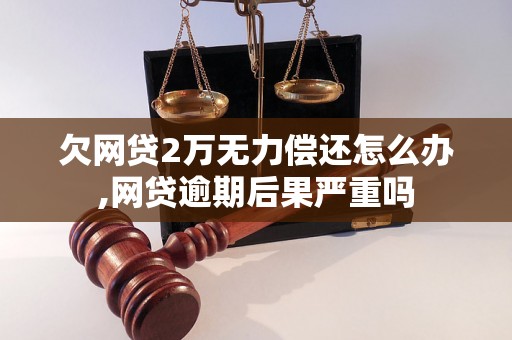 欠网贷2万无力偿还怎么办,网贷逾期后果严重吗