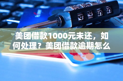 美团借款1000元未还，如何处理？美团借款逾期怎么办？