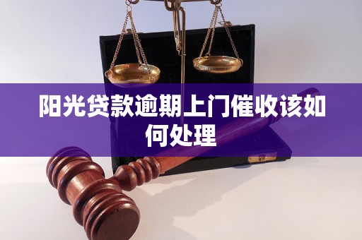 阳光贷款逾期上门催收该如何处理