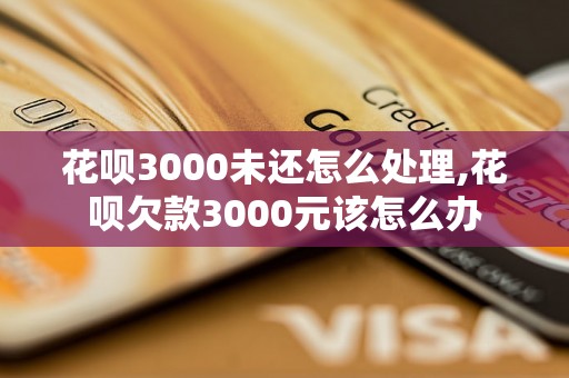 花呗3000未还怎么处理,花呗欠款3000元该怎么办