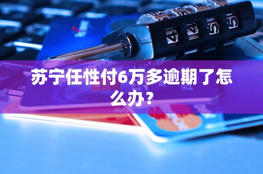 苏宁任性付6万多逾期了怎么办？