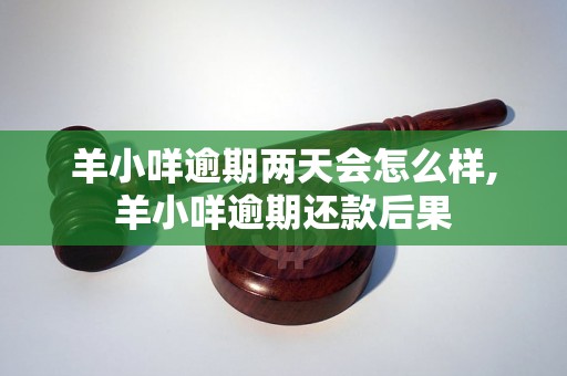 羊小咩逾期两天会怎么样,羊小咩逾期还款后果