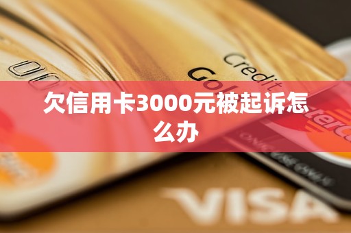 欠信用卡3000元被起诉怎么办